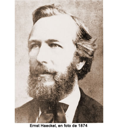 Ernst Haeckel